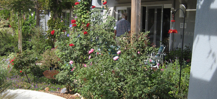 Image of pathway and garden outside residence at Glacier Circle, an intentional community in Davis, California