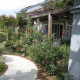 Image of pathway and garden outside residence at Glacier Circle, an intentional community in Davis, California